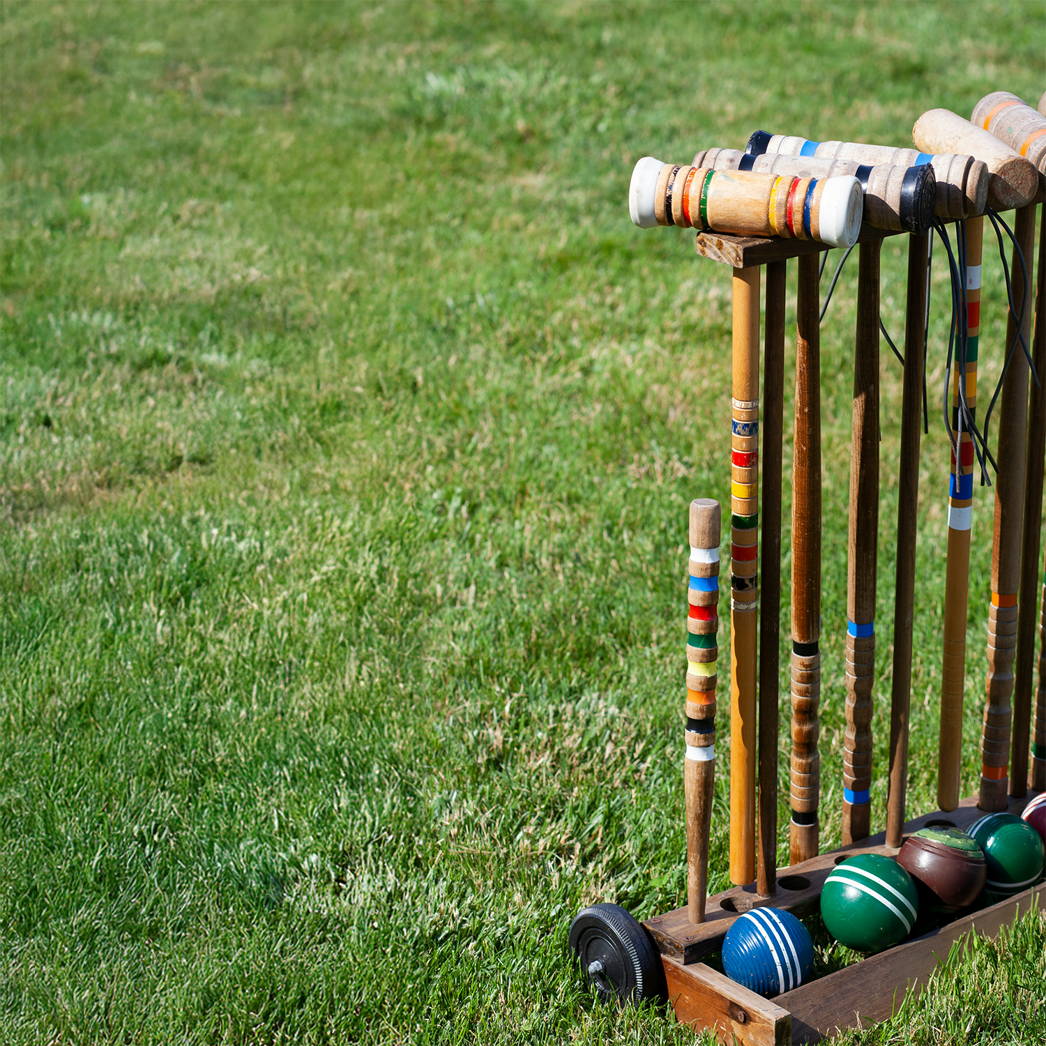 Lawngames (1)