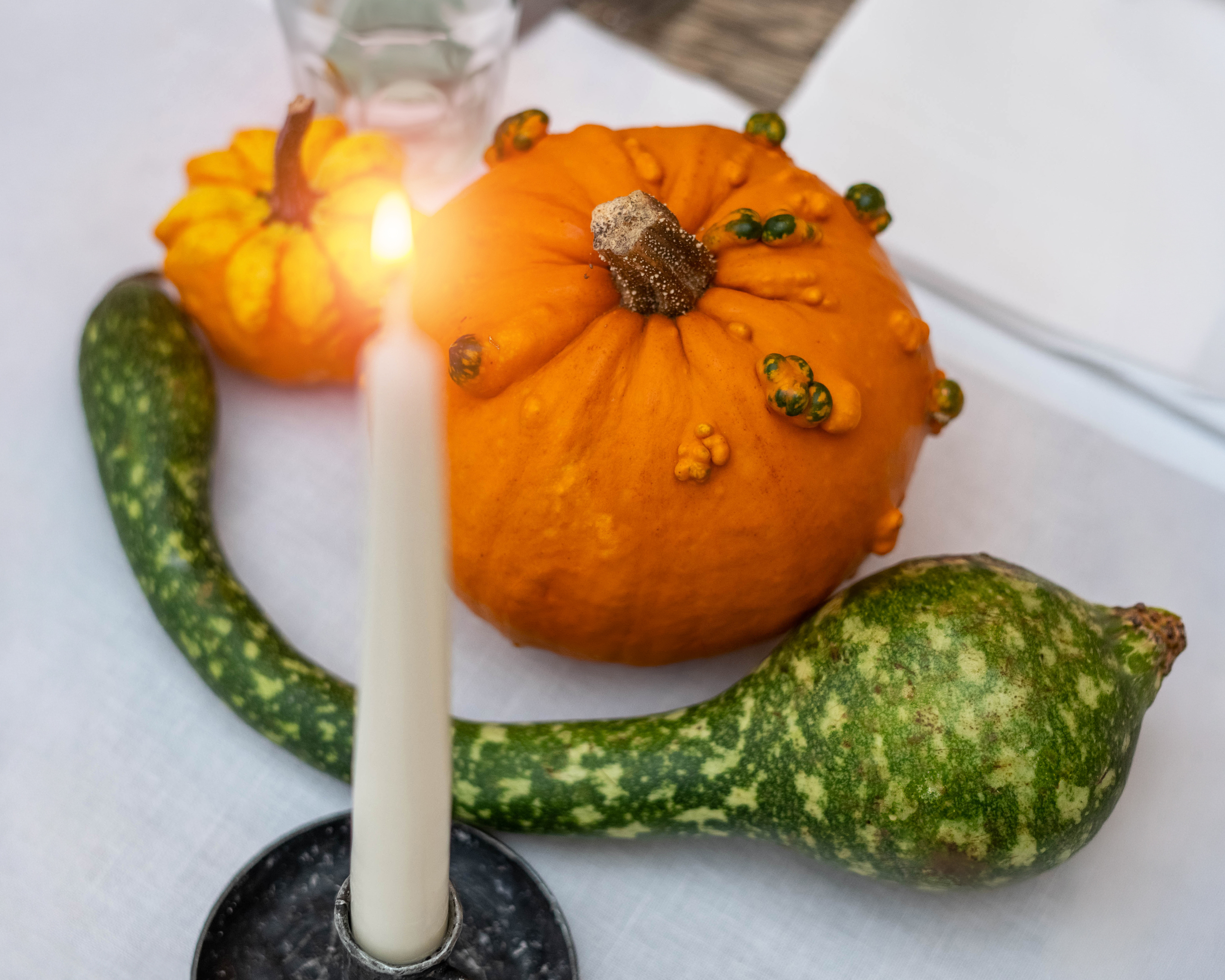 GOURD 2