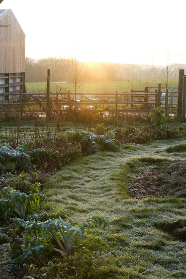 Market Garden in the Winter