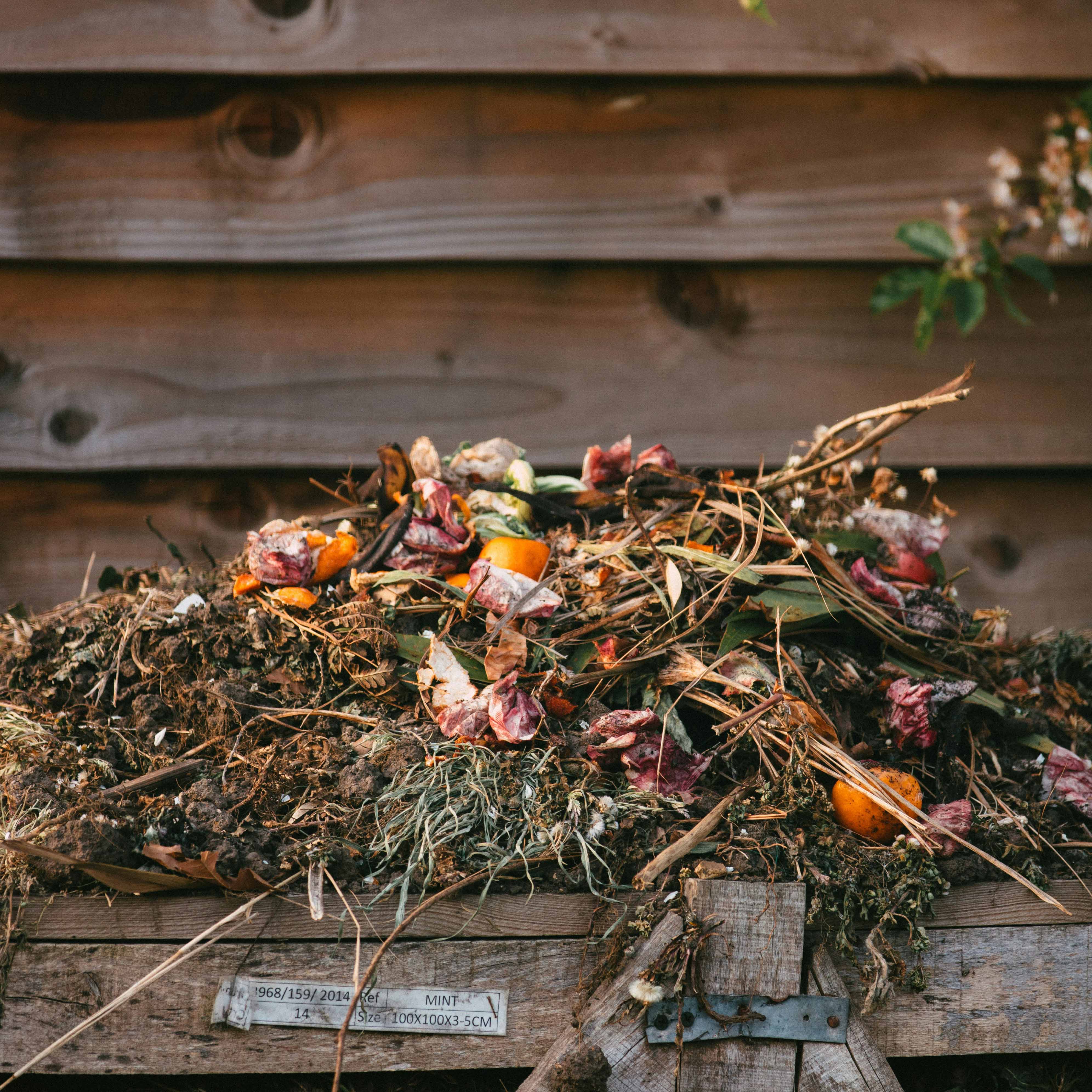 Compost (1)