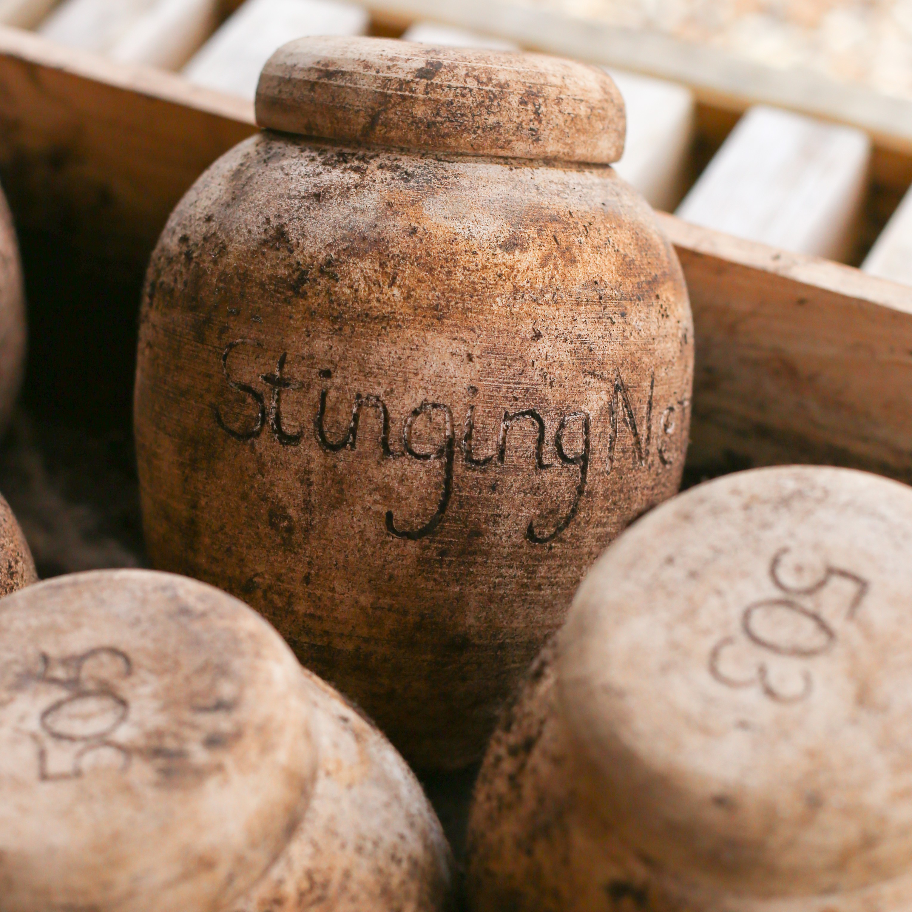 2023 09 27 Biodynamic Prep 02