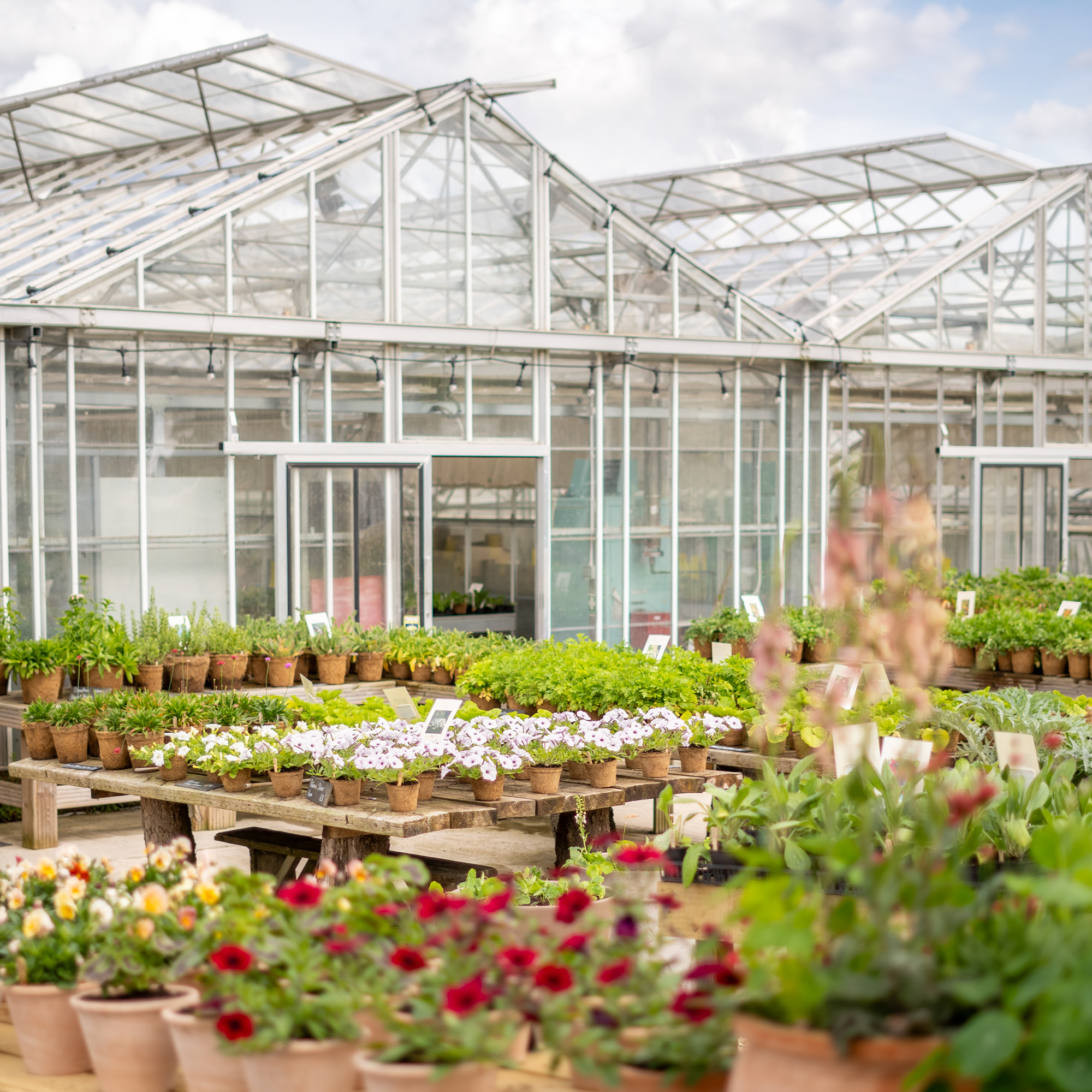 PRODUCE SALE WORKSHOPS