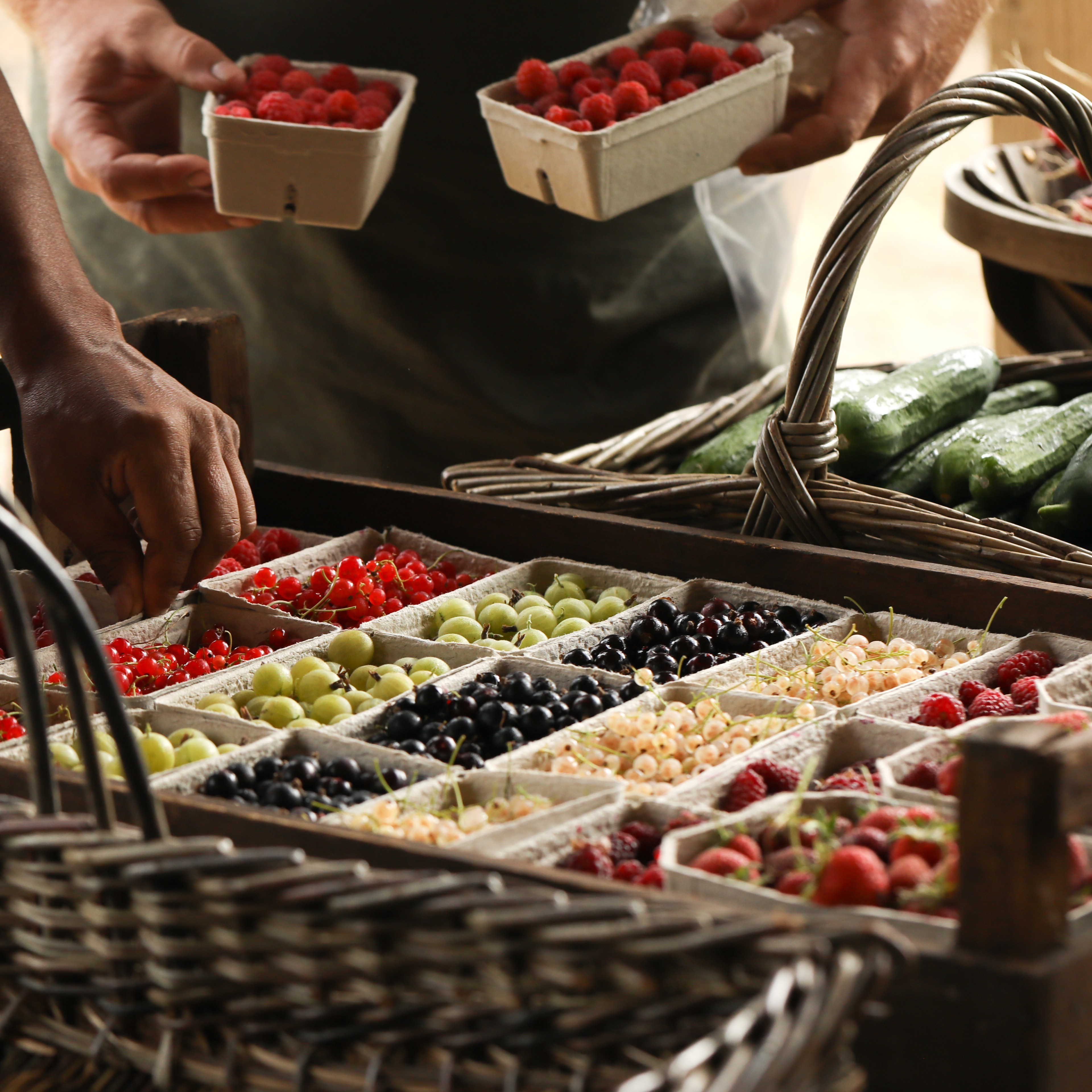 2022 07 02 Berry Fruit In Basket 2 (1)