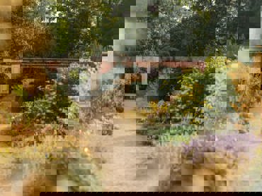 The Walled Gardens in Summer