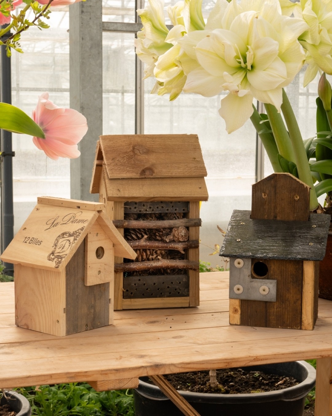 Bird Box Making