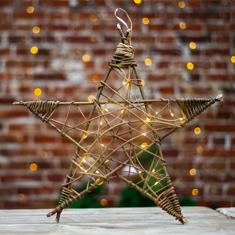 Willowstarweb
