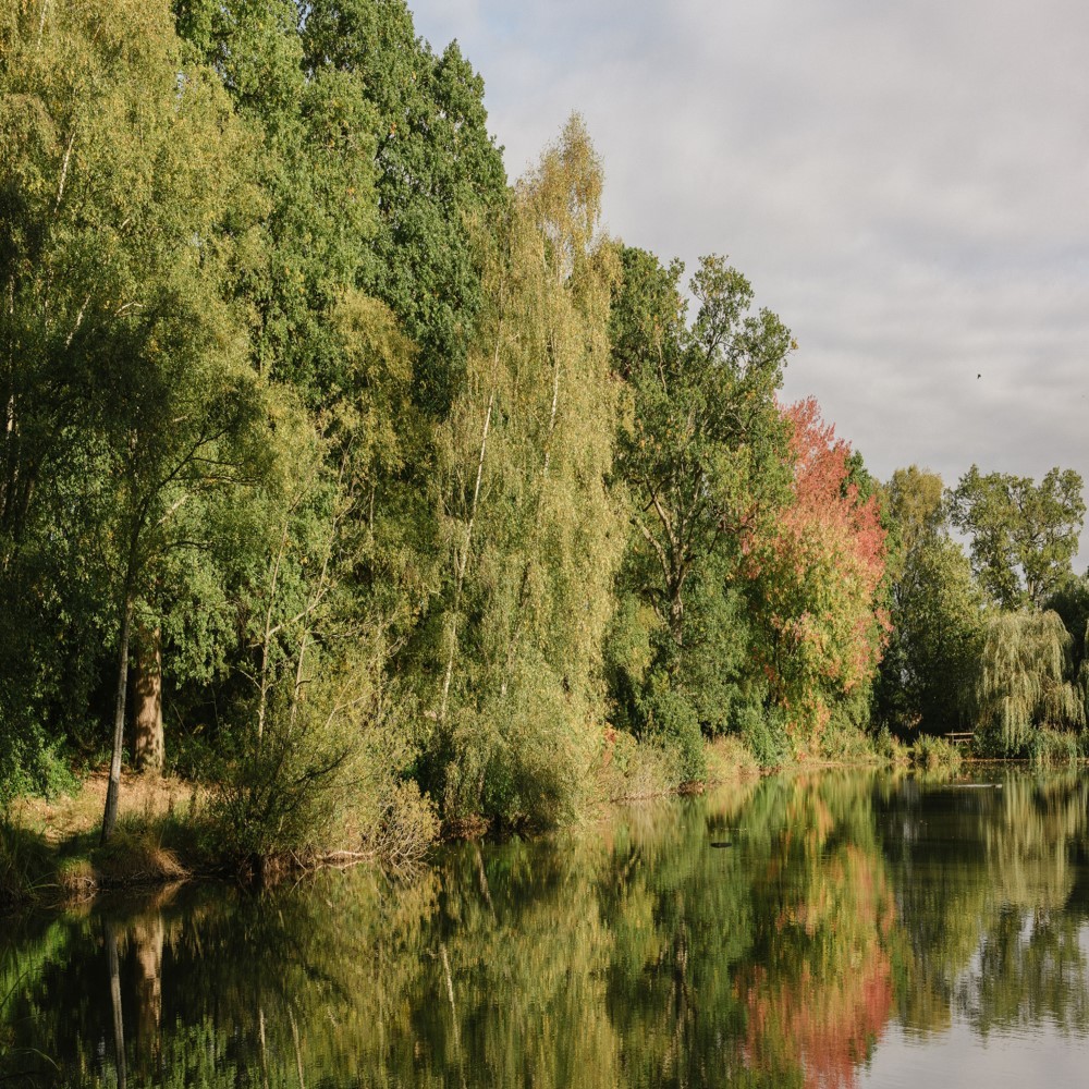 Lower Lake Reflection