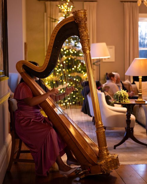 Hp Christmas Harp
