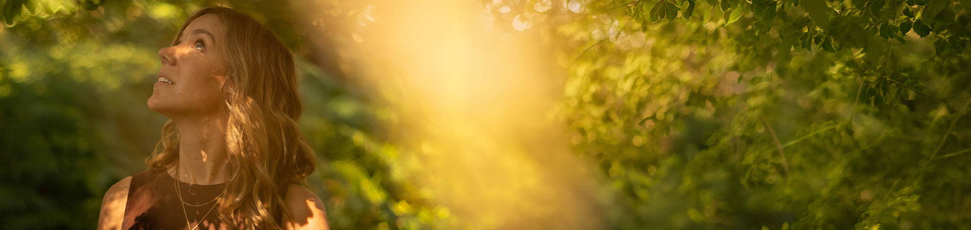 Gather And Nourish Banner 01